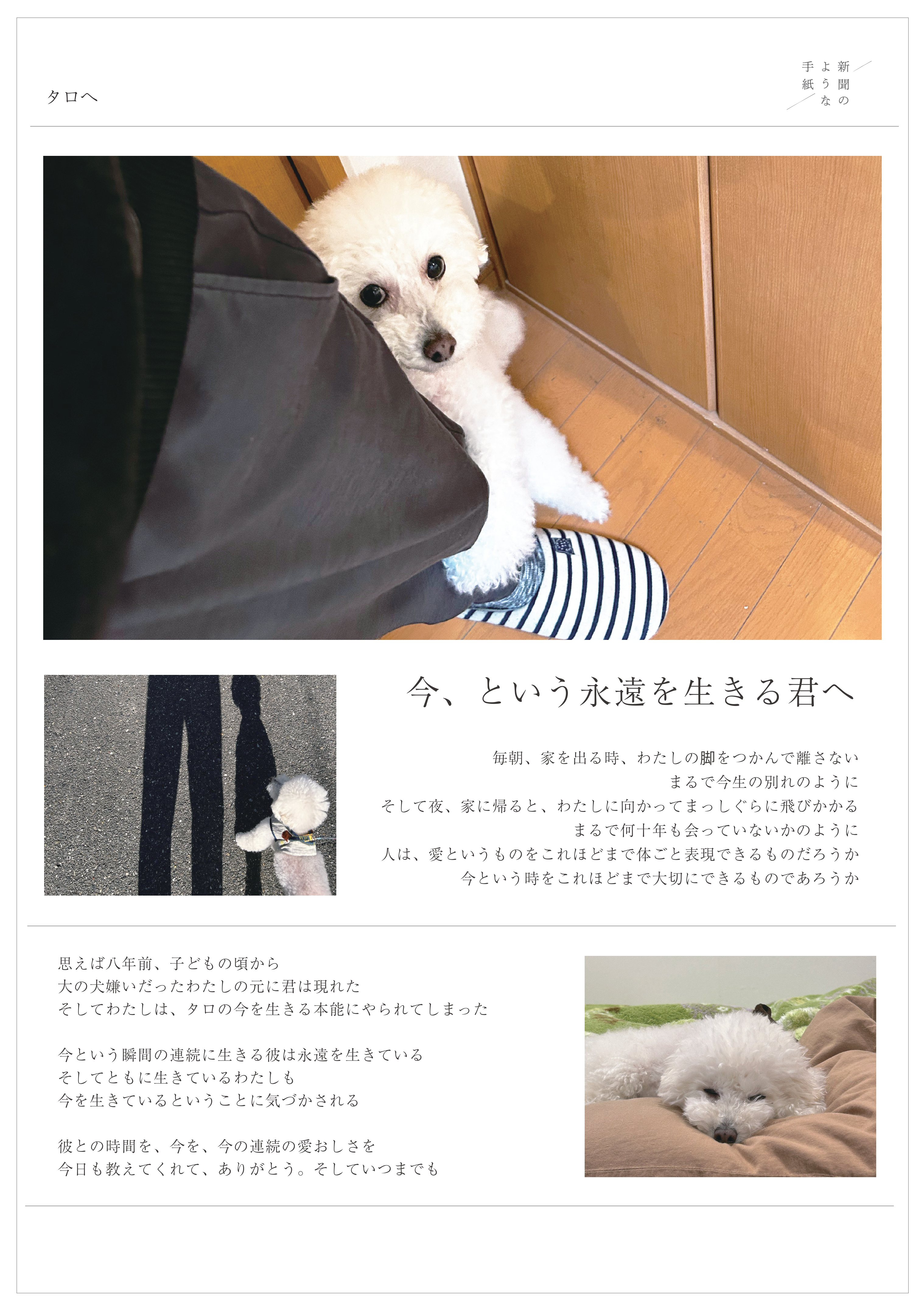 タロ