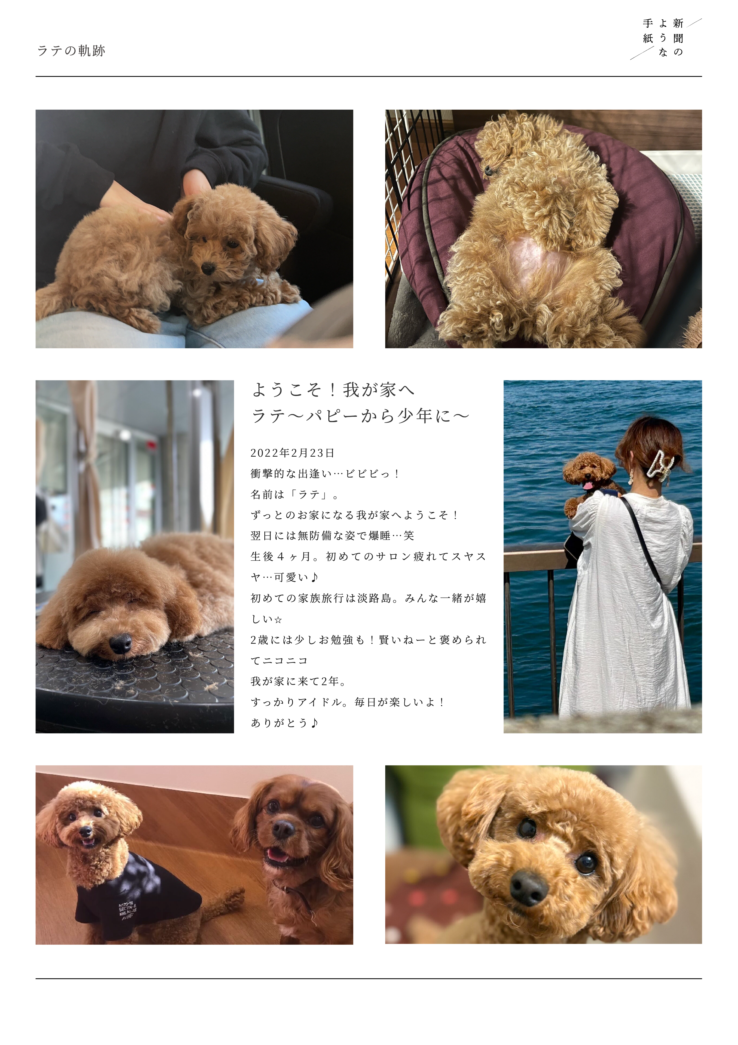 ラテの軌跡