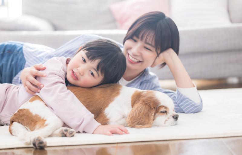 ペットと家族の写真