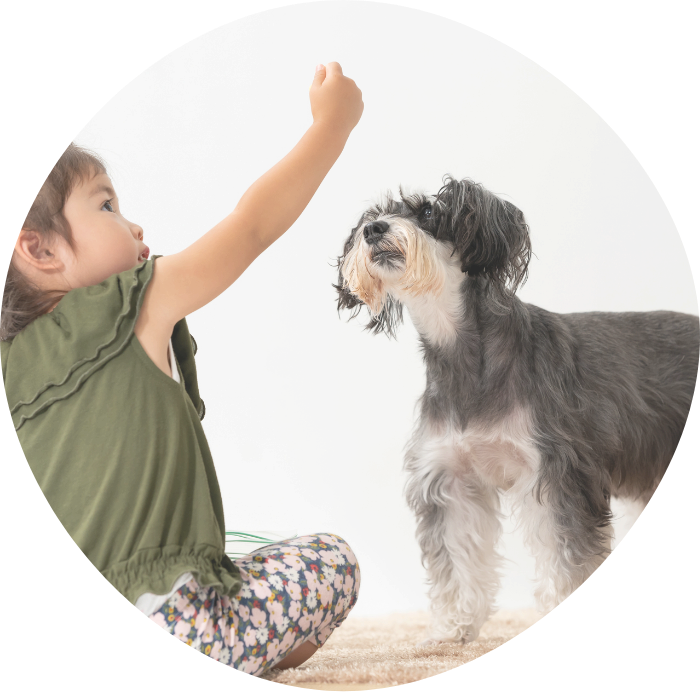 犬と子どもの写真